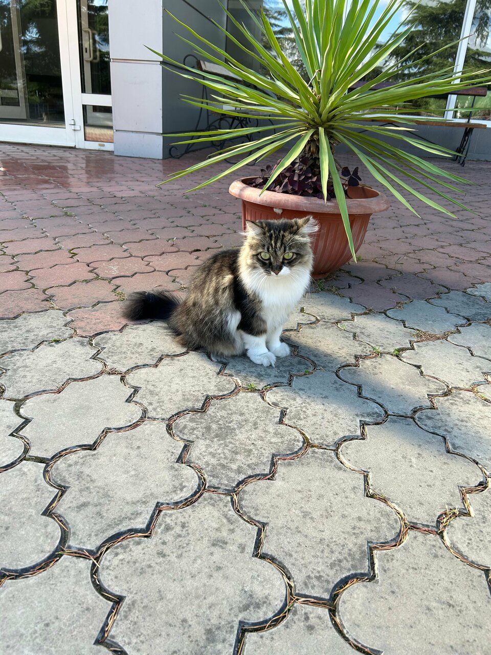 Гостиница Алушта Алушта-37