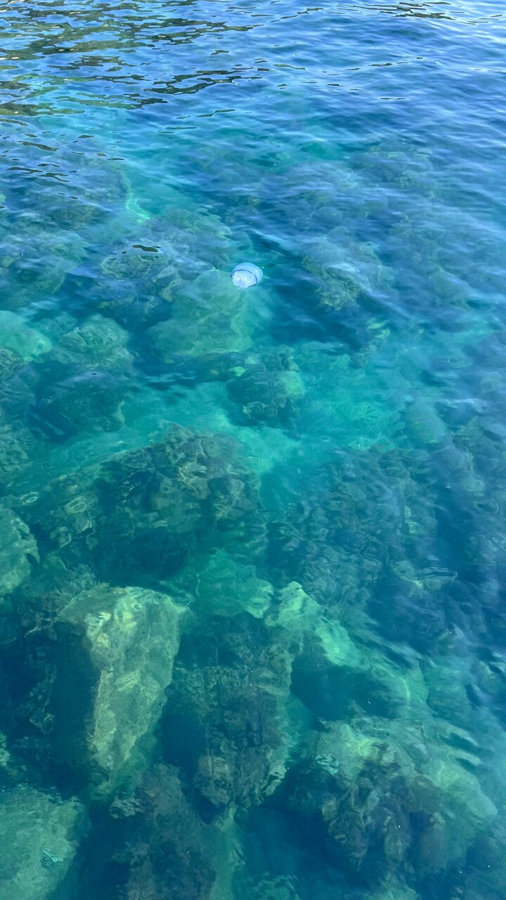 Гостиница Алушта Алушта-35