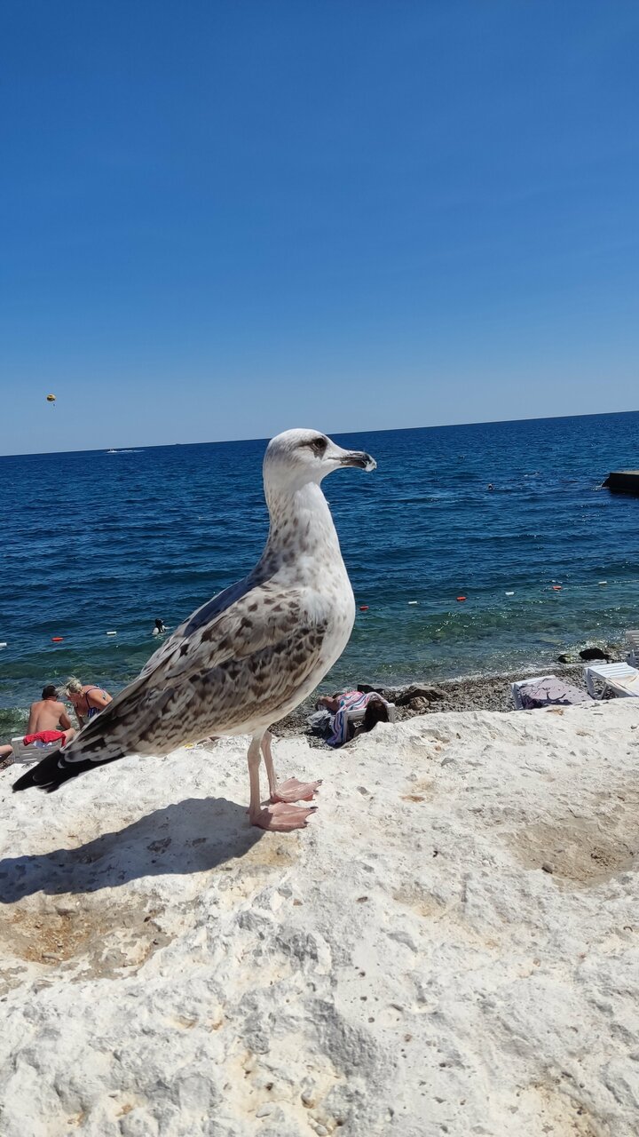 Гостиница Алушта Алушта-30