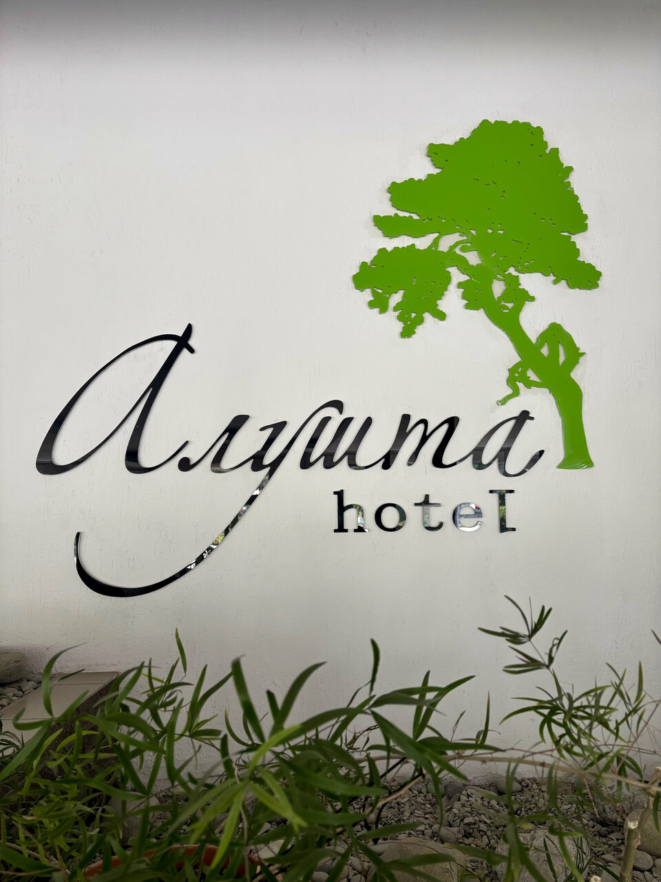 Гостиница Алушта Алушта-13